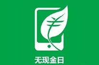 无现金的前半生，网联的后半生