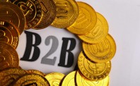 长尾型B2B交易平台的建立 运营和盈利