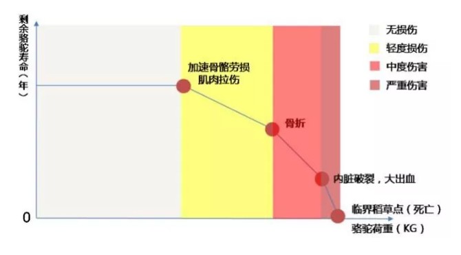 首套房贷利率连续14个月升高，压死骆驼还差几根稻草？_金融_电商之家