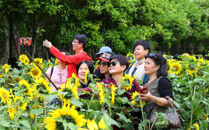 马蜂窝发布旅游数据，超九成游客遭遇过旅游陷阱_O2O_电商之家