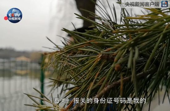 海淘额度“被偷” 央视跟进调查海淘黑色产业链_跨境电商_电商之家