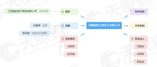 蠢蠢欲动、吃相难看的社交电商新玩家_行业观察_电商之家