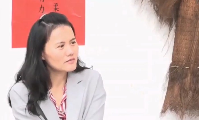 阿里武卫：曾并称“阿里双姝”，今扛旗阿里战投_人物_电商之家