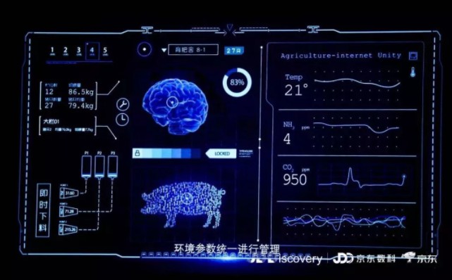 千万猪农坐不住了，刘强东宣布养猪，待遇比人还要好！_行业观察_电商之家