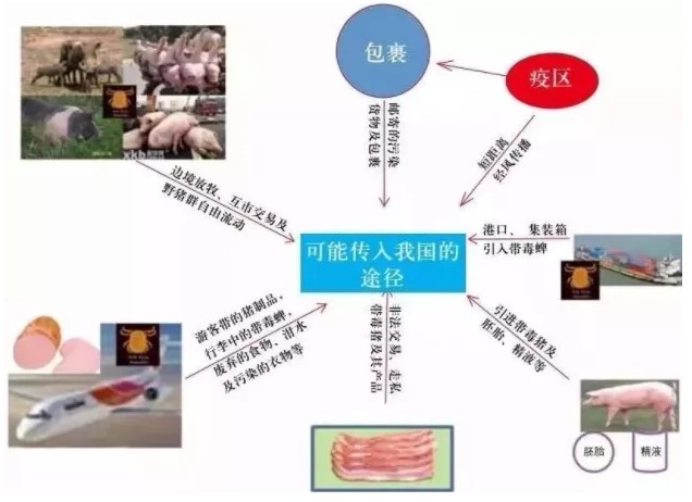 非洲猪瘟要走了，可猪肉涨价啥时停？_行业观察_电商之家