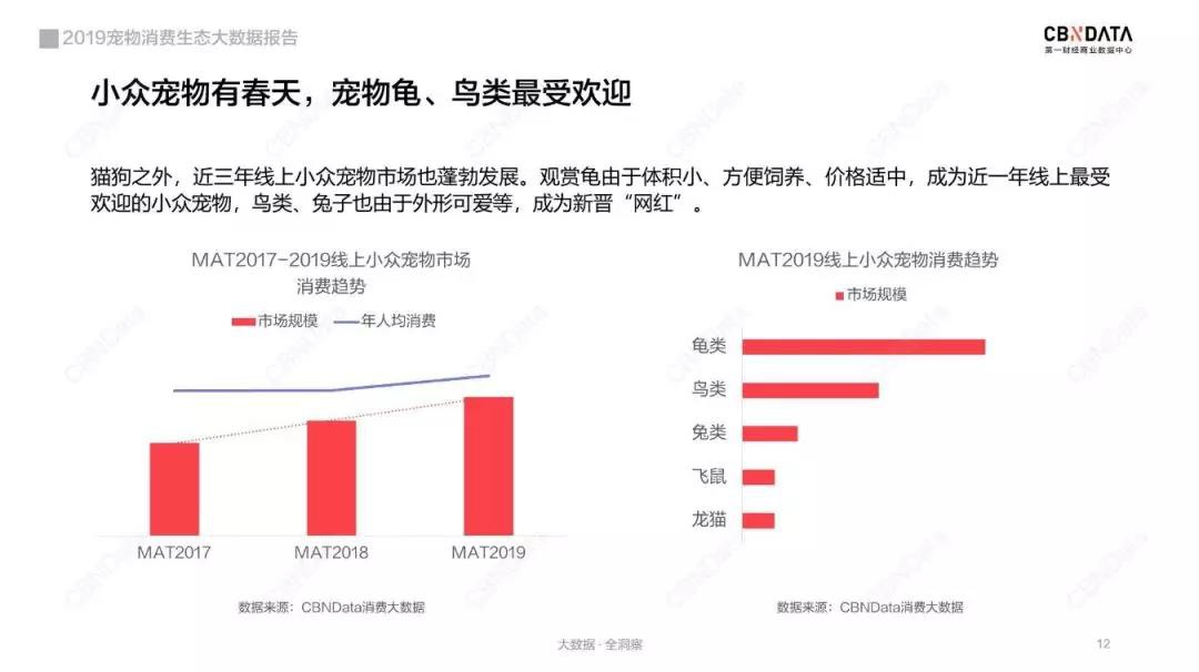 宠物线上消费强劲，谁是2019年“增长黑马”？_行业观察_电商之家