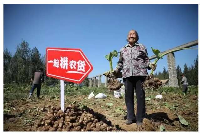 好而便宜！拼多多你到底想做什么？_行业观察_电商之家