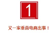 垂直电商之死：历时十年，烧光千亿，风口上的“猪”终于摔下来了_行业观察_电商之家