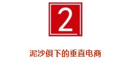 垂直电商之死：历时十年，烧光千亿，风口上的“猪”终于摔下来了_行业观察_电商之家