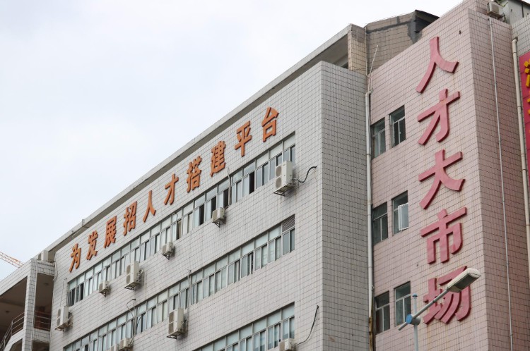 E青春培养计划一周年 跨境人才缺口仍需填补_跨境电商_电商之家