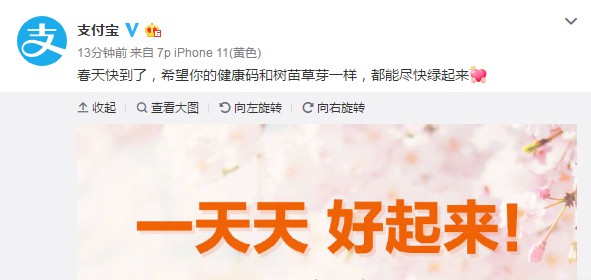 支付宝保障组进展：送达生活物资近万件，爱心餐15万份_金融_电商之家