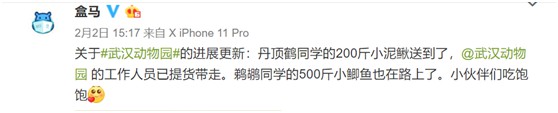 盒马的五次挺身而出，换来一次“开挂”机会！_零售_电商之家