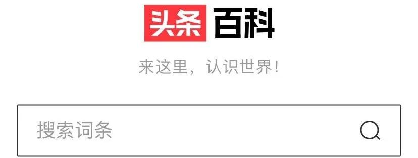 互联网“搜索霸主”之争，字节“挑动”百度！_行业观察_电商之家