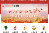 国资委联合微信上线助农扶贫公益小程序“央企消费扶贫”
