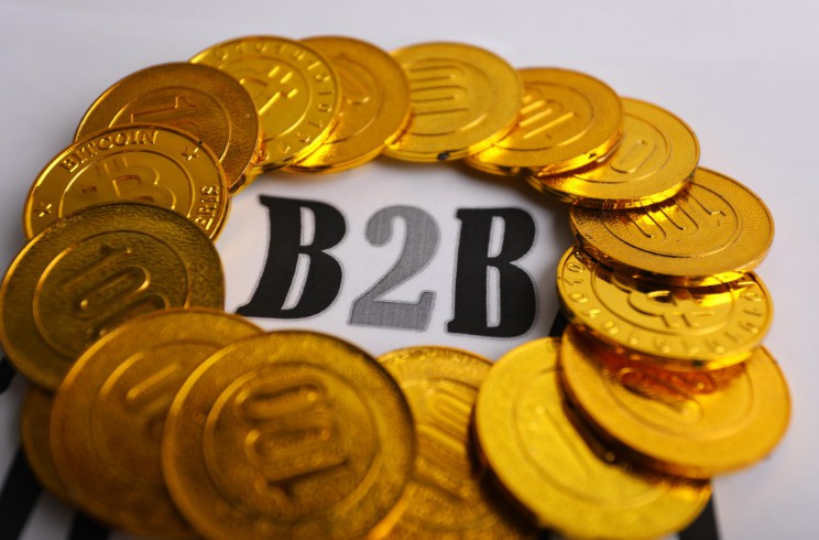 国联股份非公开发行A股股票获证监会审核通过_B2B_电商之家