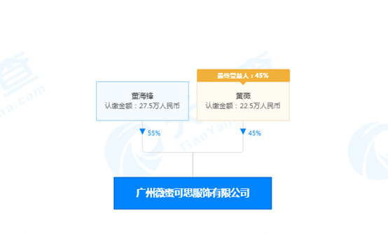 薇娅名下公司一审败诉 涉及申请注册服装类“薇娅”商标_人物_电商之家